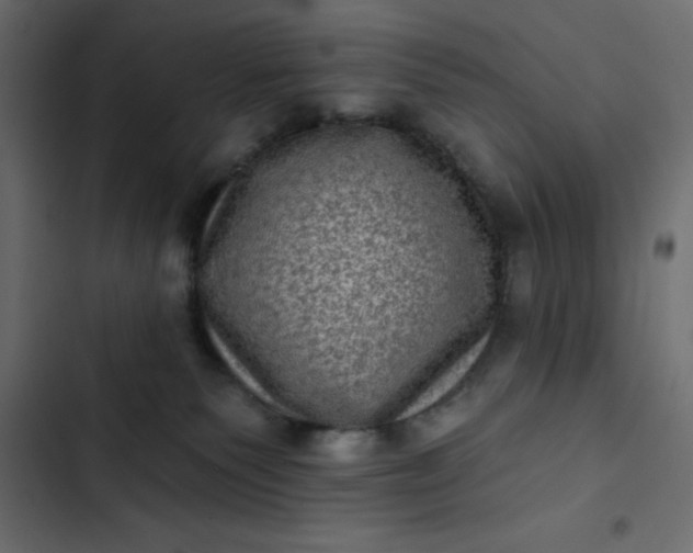 X0000102830135200809021322