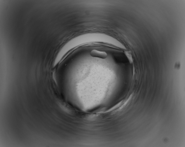 X0000102830136200809021322