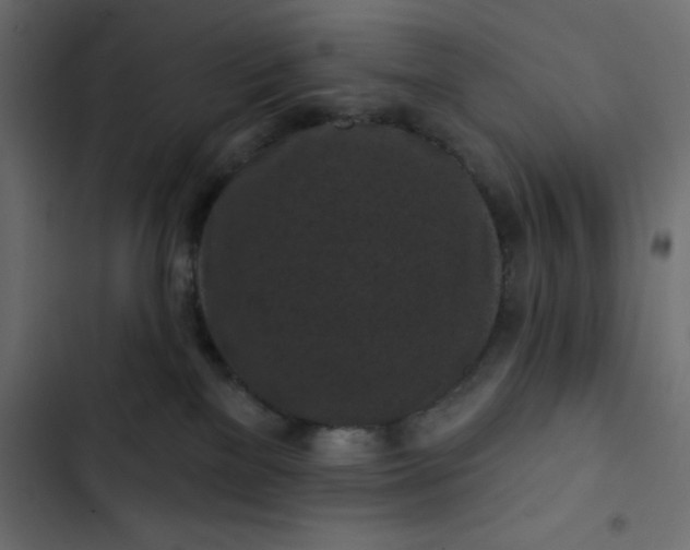 X0000102830137200809021322