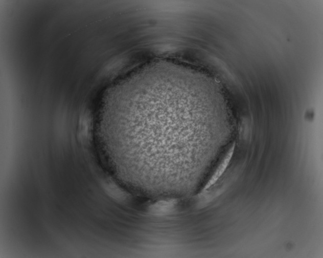 X0000102830138200809021322