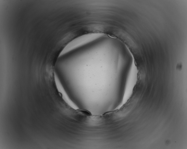 X0000102830141200809021322