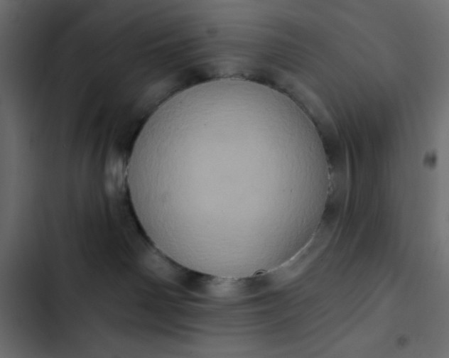 X0000102830142200809021322