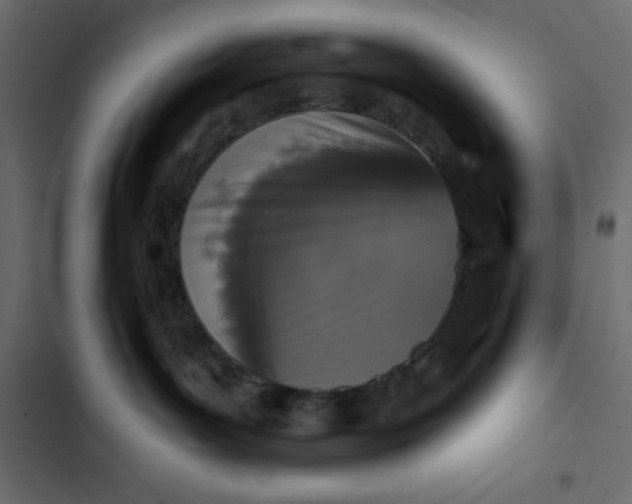 X0000102830143200809021322