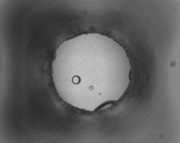 X0000102830144200809021322