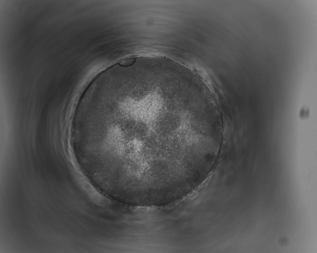 X0000102830145200809021321