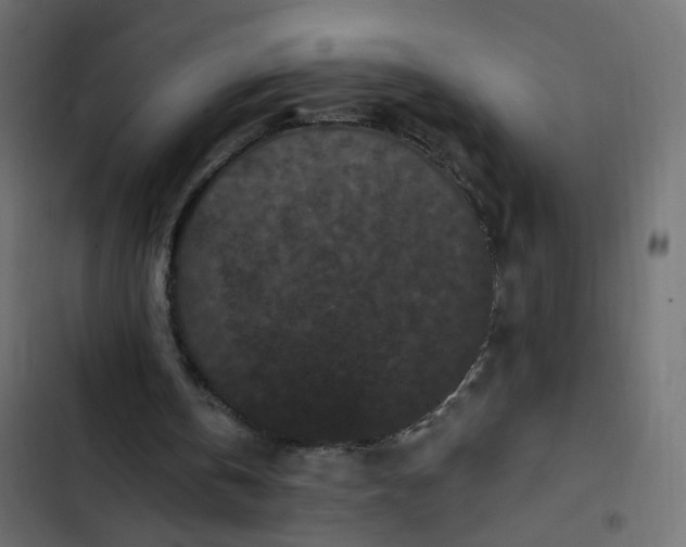 X0000102830146200809021321