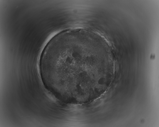 X0000102830147200809021321