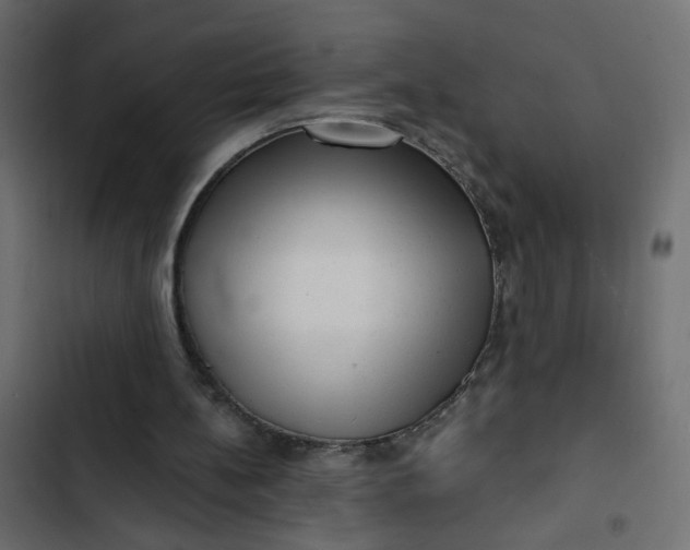 X0000102830148200809021321