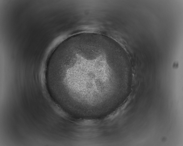 X0000102830149200809021321