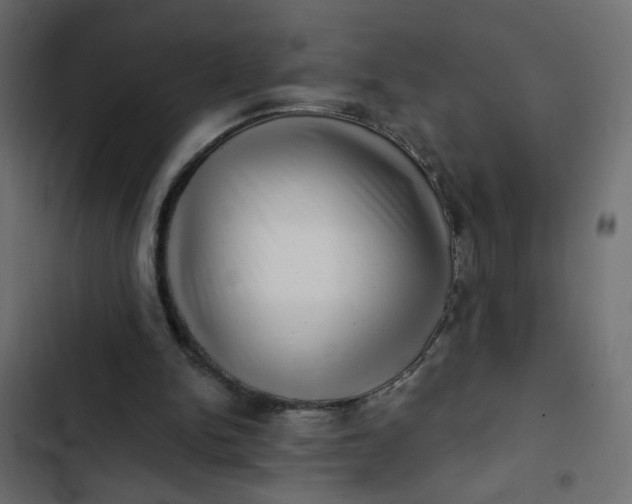 X0000102830150200809021321