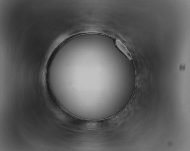 X0000102830152200809021321