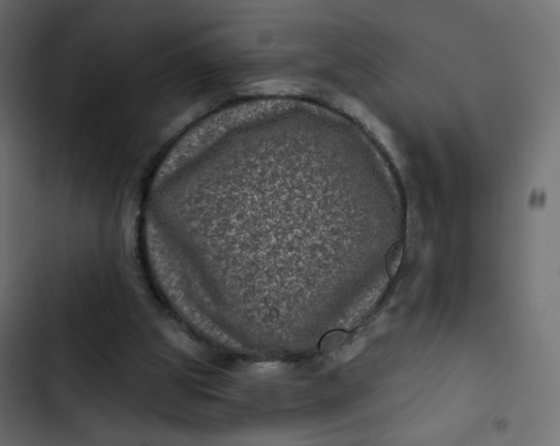 X0000102830153200809021321