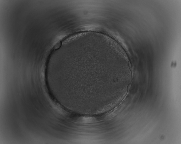 X0000102830154200809021321