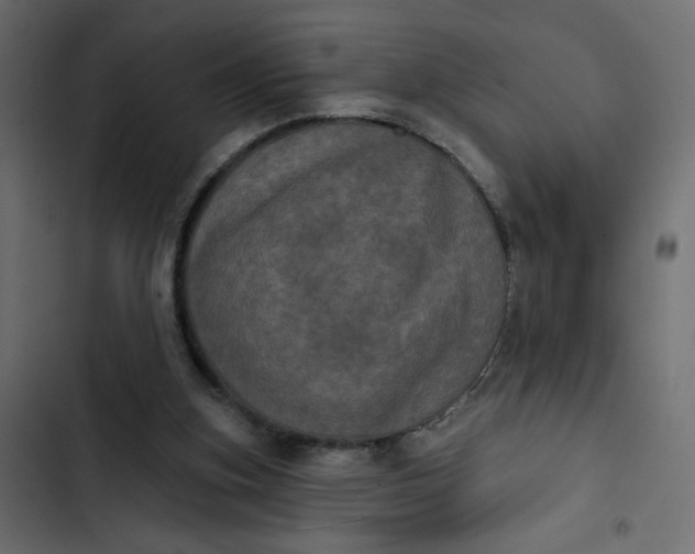 X0000102830155200809021321