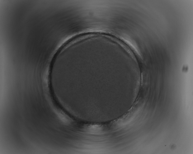 X0000102830156200809021321