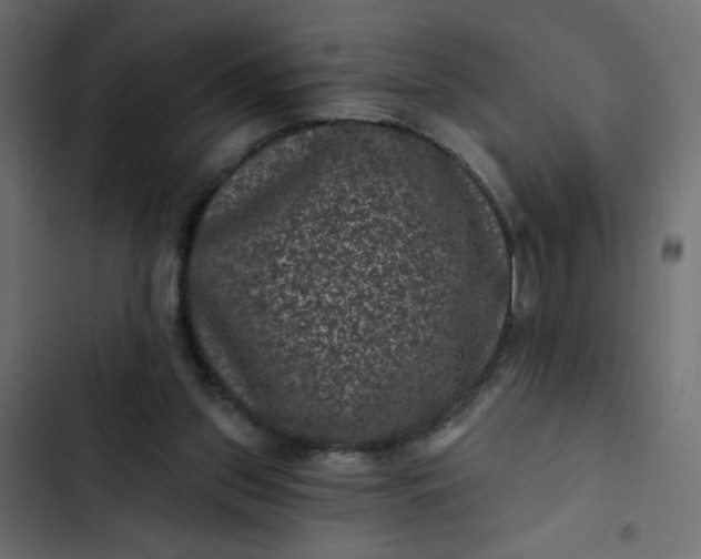 X0000102830157200809021321