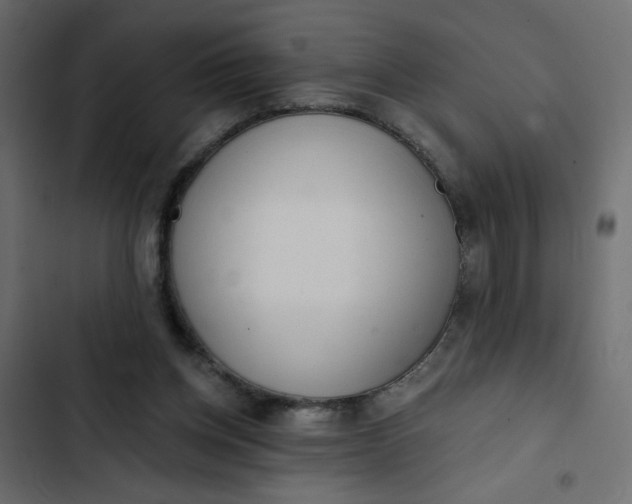 X0000102830158200809021321