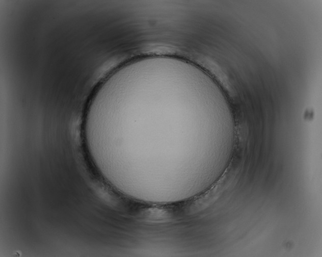 X0000102830159200809021321