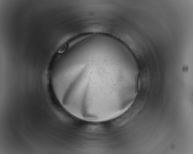 X0000102830160200809021321