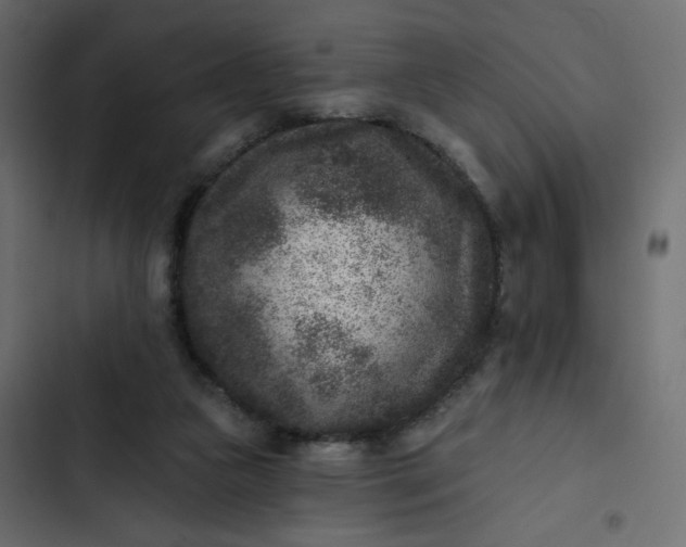 X0000102830161200809021321