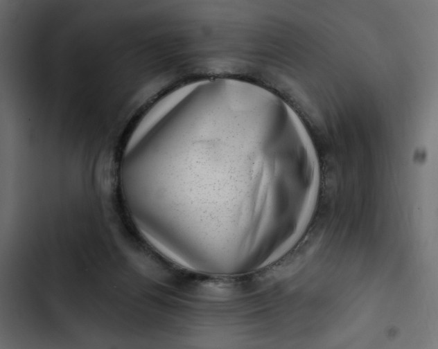 X0000102830164200809021321