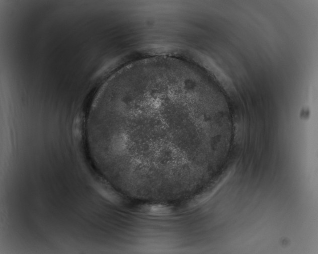 X0000102830165200809021321