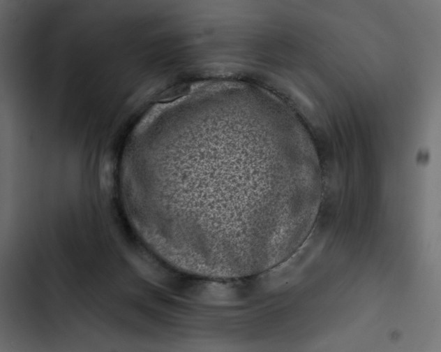 X0000102830166200809021321