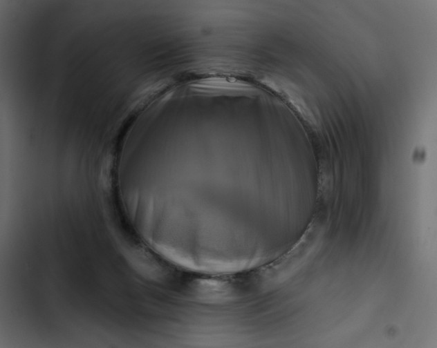 X0000102830167200809021321