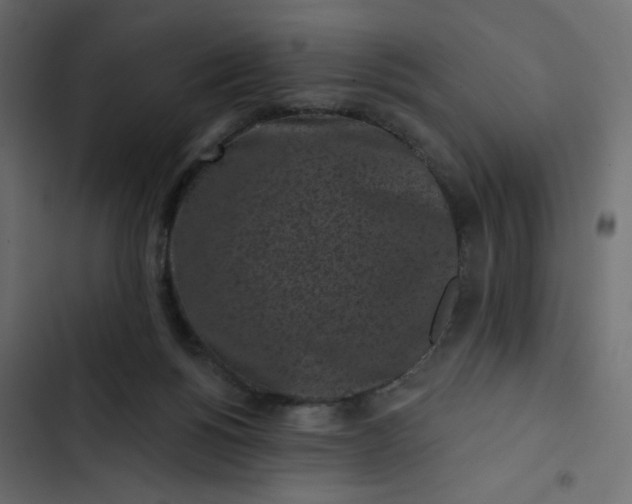 X0000102830168200809021321