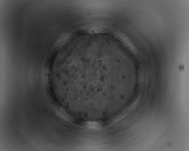 X0000102830169200809021321