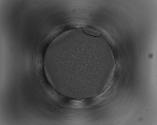 X0000102830170200809021321