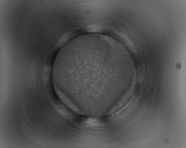 X0000102830171200809021321