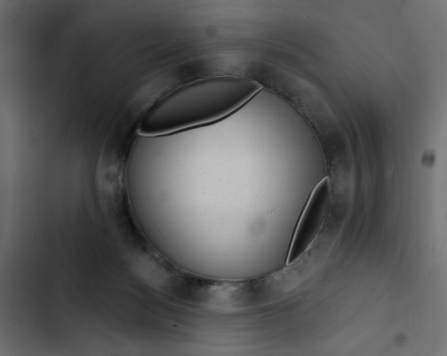 X0000102830172200809021322