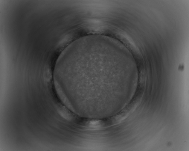 X0000102830173200809021322