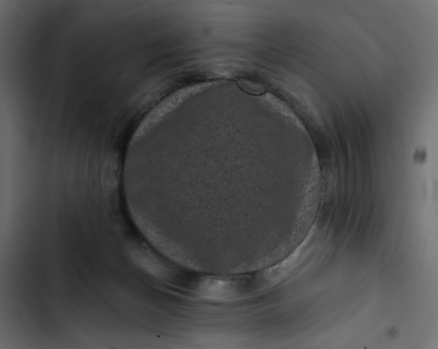 X0000102830174200809021322