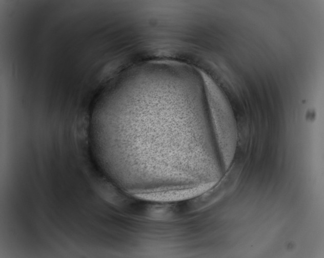 X0000102830175200809021322