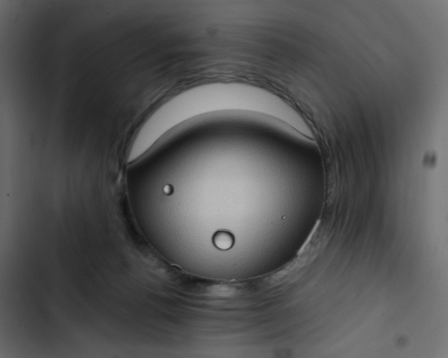 X0000102830176200809021322