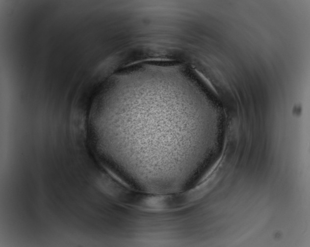 X0000102830178200809021322