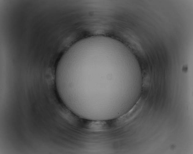 X0000102830179200809021322