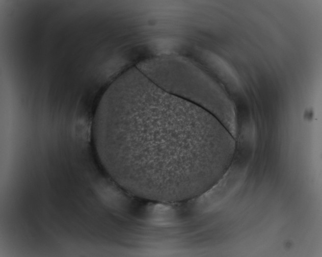 X0000102830180200809021322