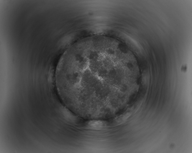 X0000102830181200809021322