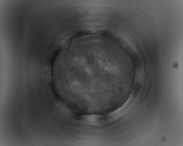 X0000102830182200809021322