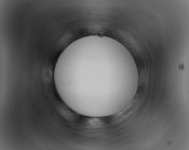 X0000102830183200809021322