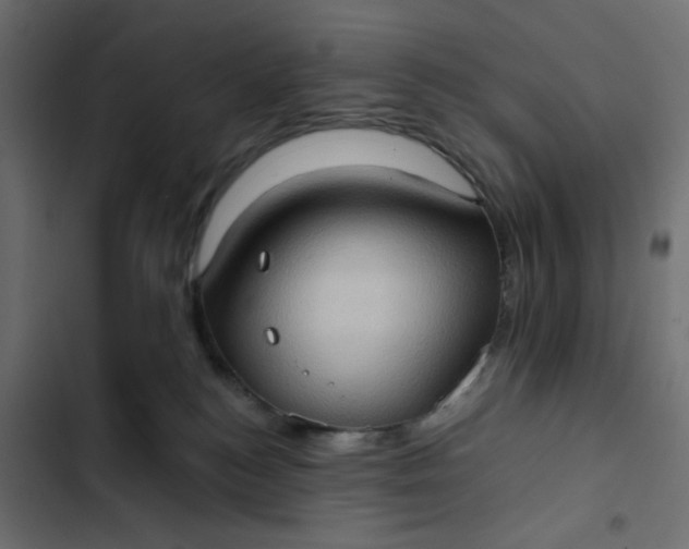 X0000102830184200809021322