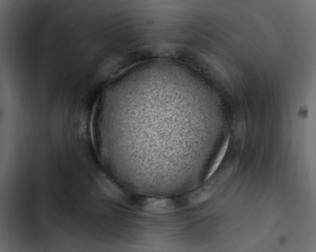 X0000102830185200809021322