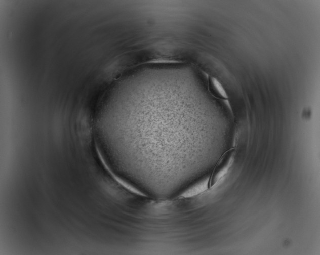 X0000102830186200809021322