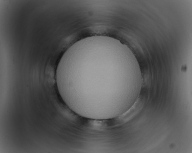 X0000102830187200809021322