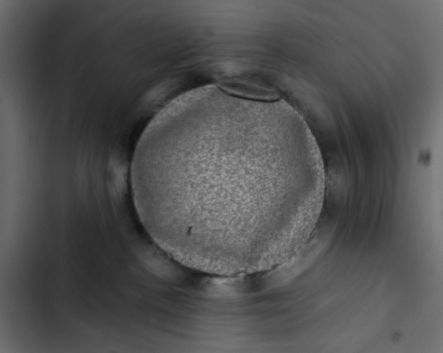 X0000102830188200809021322