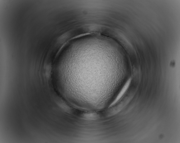 X0000102830189200809021322