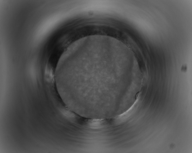 X0000102830191200809021322